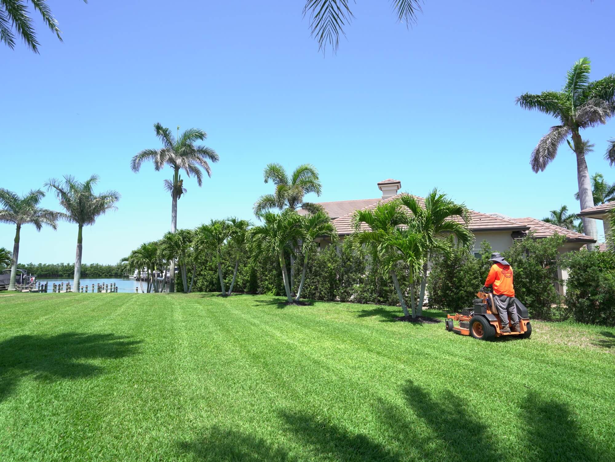 Professional lawn maintenance and landscaping